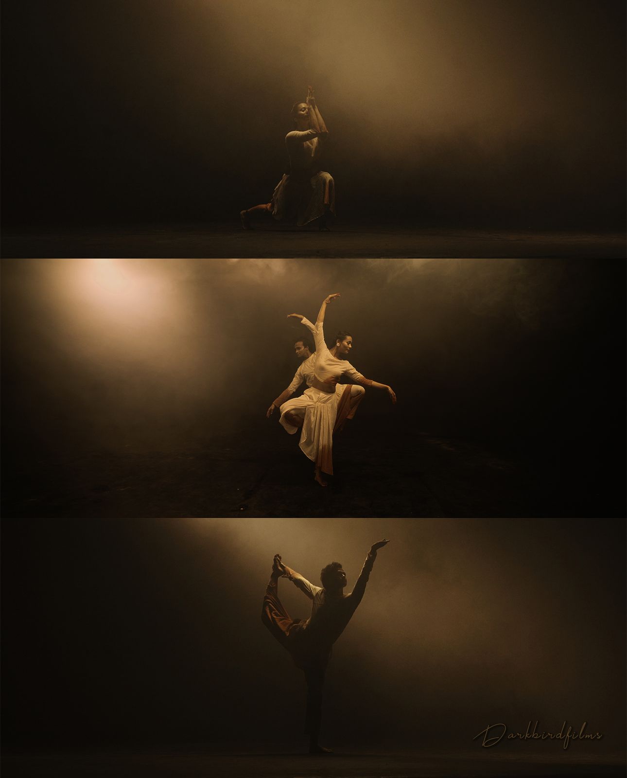 Dance — Light & Motion